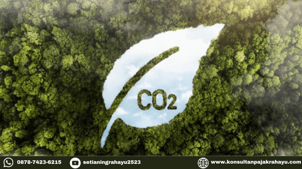 10 Poin Penting dalam POJK 14/2023 tentang Bursa Karbon