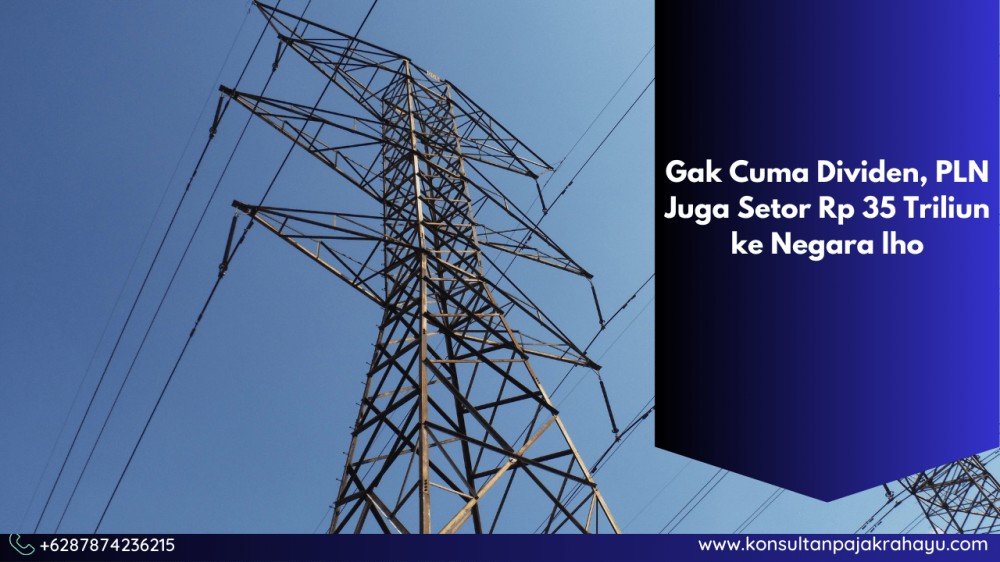 Gak Cuma Dividen, PLN Juga Setor Rp 35 Triliun ke Negara lho