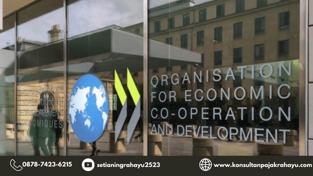 Ingin Jadi Negara Maju, Indonesia Bersiap Jadi Anggota OECD