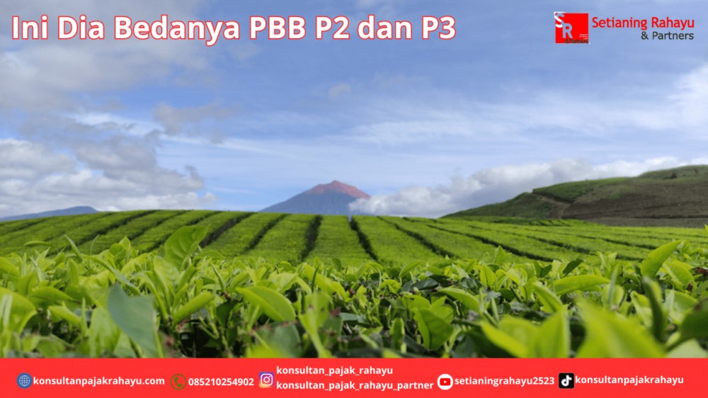 Ini Dia Bedanya PBB P2 dan P3