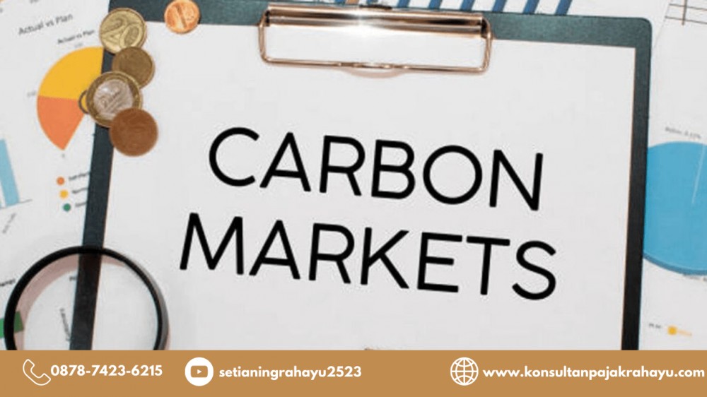 Potensi Pendapatan dari Ekonomi Karbon Capai Rp 8.000 Triliun