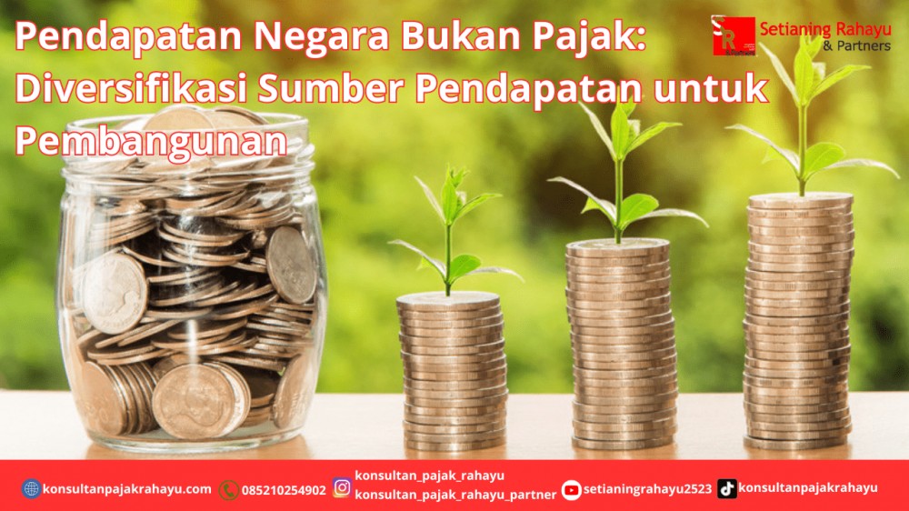 Pendapatan Negara Bukan Pajak: Diversifikasi Sumber Pendapatan untuk Pembangunan