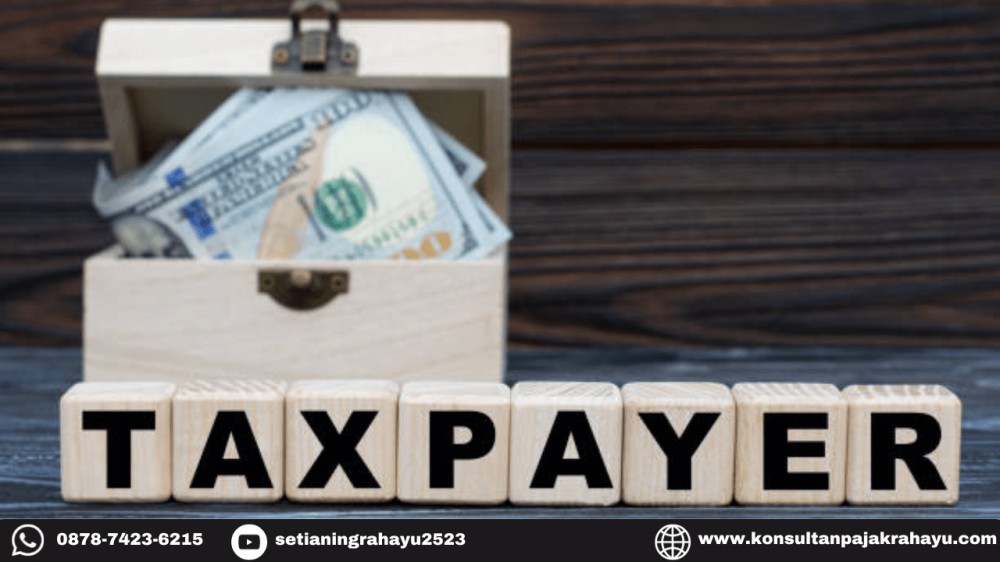 Proses Bisnis Jadi Lebih Efisien karena Ada Akun Wajib Pajak (Taxpayer Account)